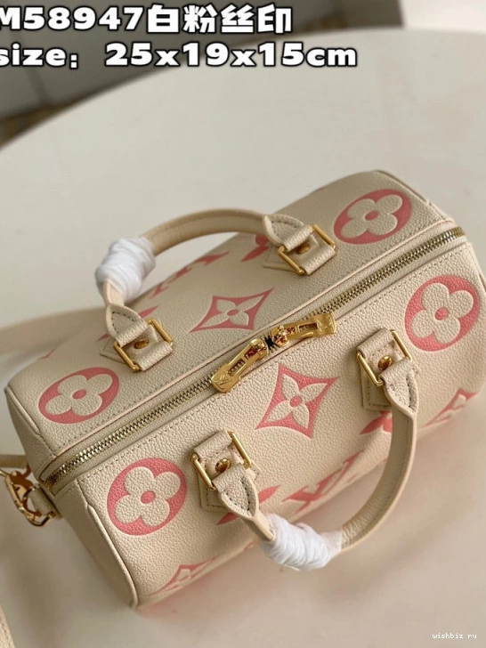 WIS SPEEDY BANDOULIÈRE LOUIS VUITTON 25 0918